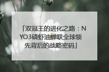 双冠王的进化之路：NYO3磷虾油蝉联全球领先背后的战略密码