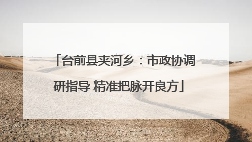 台前县夹河乡：市政协调研指导 精准把脉开良方