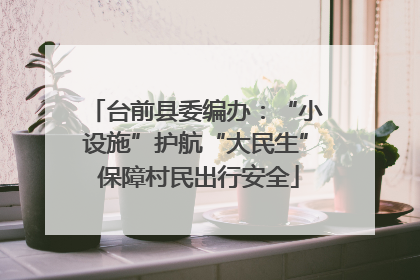 台前县委编办：“小设施”护航“大民生” 保障村民出行安全