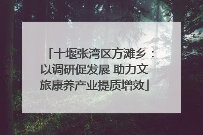 十堰张湾区方滩乡：以调研促发展 助力文旅康养产业提质增效