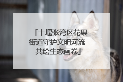 十堰张湾区花果街道守护文明河流 共绘生态画卷