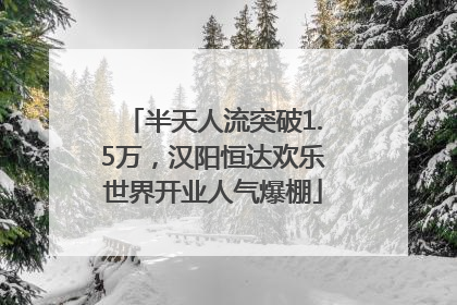 半天人流突破1.5万，汉阳恒达欢乐世界开业人气爆棚