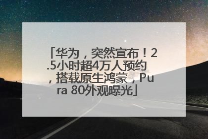 华为，突然宣布！2.5小时超4万人预约，搭载原生鸿蒙，Pura 80外观曝光