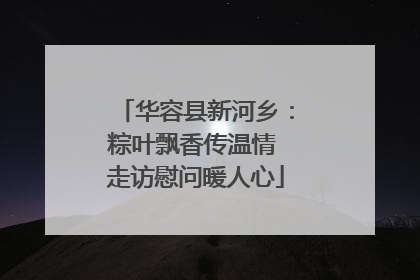 华容县新河乡：粽叶飘香传温情 走访慰问暖人心