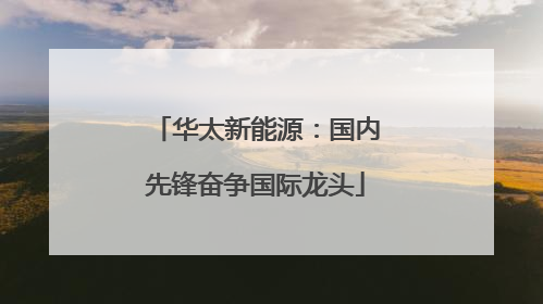 华太新能源：国内先锋奋争国际龙头