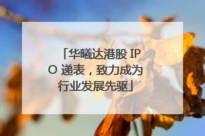华曦达港股 IPO 递表，致力成为行业发展先驱