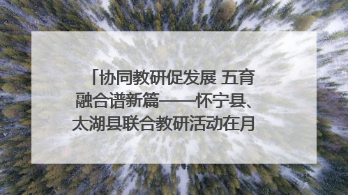 协同教研促发展 五育融合谱新篇——怀宁县、太湖县联合教研活动在月山镇中心学校成功举办
