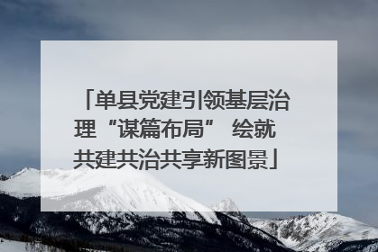 单县党建引领基层治理“谋篇布局” 绘就共建共治共享新图景