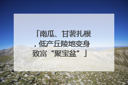 南瓜、甘薯扎根，低产丘陵地变身致富“聚宝盆”