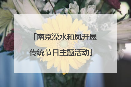 南京溧水和凤开展传统节日主题活动