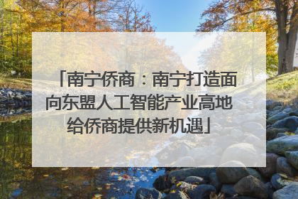 南宁侨商：南宁打造面向东盟人工智能产业高地给侨商提供新机遇