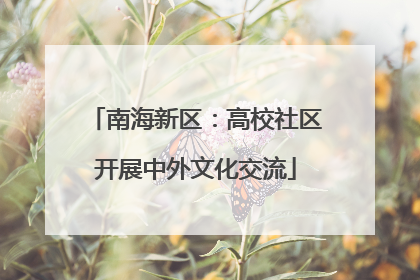 南海新区：高校社区开展中外文化交流