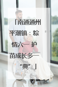 南通通州平潮镇：粽情六一 护苗成长多一“典”