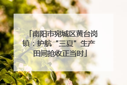 南阳市宛城区黄台岗镇：护航“三夏”生产 田间抢收正当时