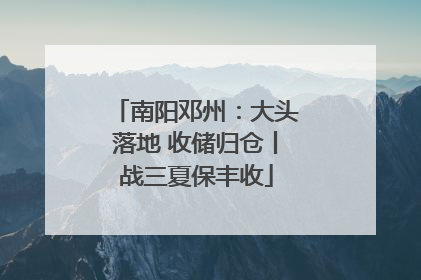 南阳邓州：大头落地 收储归仓丨战三夏保丰收