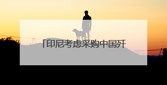 印尼考虑采购中国歼-10战斗机 正评估性能与成本优势