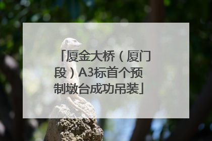厦金大桥（厦门段）A3标首个预制墩台成功吊装