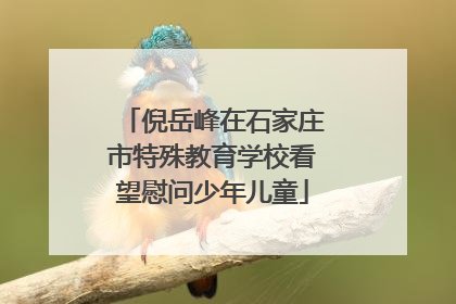 倪岳峰在石家庄市特殊教育学校看望慰问少年儿童