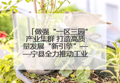 做强“一区三园”产业集群 打造高质量发展“新引擎”——宁县全力推动工业经济提质增效