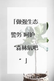 做强生态警务 呵护“森林氧吧”