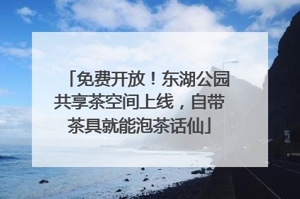 免费开放！东湖公园共享茶空间上线，自带茶具就能泡茶话仙
