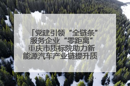 党建引领“全链条” 服务企业“零距离” 重庆市质标院助力新能源汽车产业链提升质量管理水平