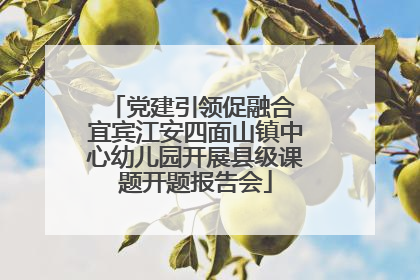 党建引领促融合 宜宾江安四面山镇中心幼儿园开展县级课题开题报告会