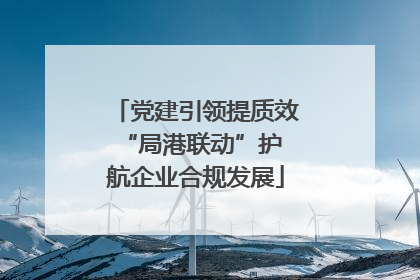 党建引领提质效 “局港联动”护航企业合规发展