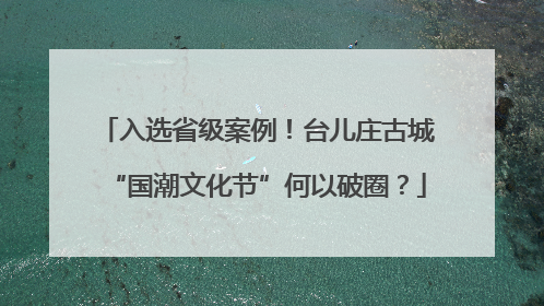 入选省级案例！台儿庄古城“国潮文化节”何以破圈？