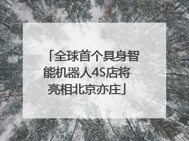 全球首个具身智能机器人4S店将亮相北京亦庄