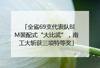 全省69支代表队BIM装配式“大比武”，南工大斩获三项特等奖