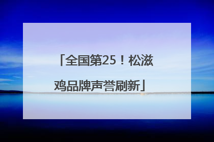全国第25！松滋鸡品牌声誉刷新