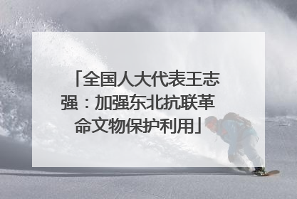 全国人大代表王志强：加强东北抗联革命文物保护利用