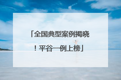 全国典型案例揭晓！平谷一例上榜