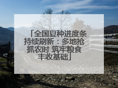 全国夏种进度条持续刷新：多地抢抓农时 筑牢粮食丰收基础