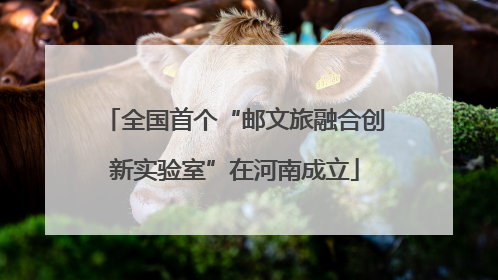 全国首个“邮文旅融合创新实验室”在河南成立