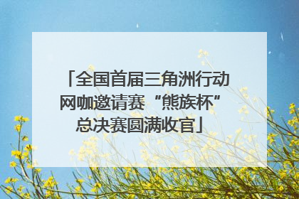 全国首届三角洲行动网咖邀请赛“熊族杯”总决赛圆满收官