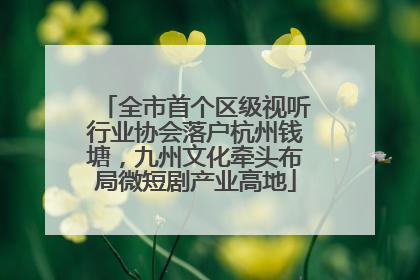 全市首个区级视听行业协会落户杭州钱塘，九州文化牵头布局微短剧产业高地