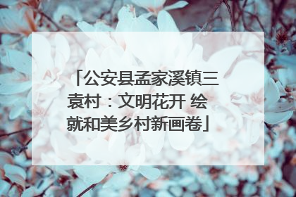 公安县孟家溪镇三袁村：文明花开 绘就和美乡村新画卷