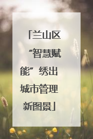兰山区“智慧赋能”绣出城市管理新图景