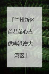 兰州新区首茬菜心直供粤港澳大湾区