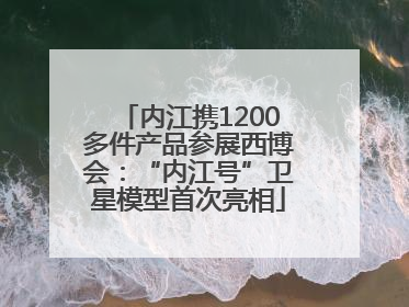 内江携1200多件产品参展西博会：“内江号”卫星模型首次亮相