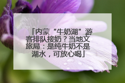 内蒙“牛奶湖”游客排队接奶？当地文旅局：是纯牛奶不是湖水，可放心喝