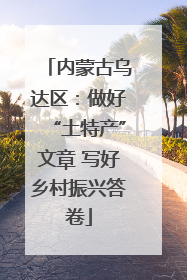 内蒙古乌达区：做好“土特产”文章 写好乡村振兴答卷