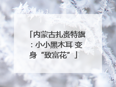 内蒙古扎赉特旗：小小黑木耳 变身“致富花”