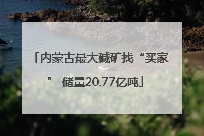 内蒙古最大碱矿找“买家” 储量20.77亿吨