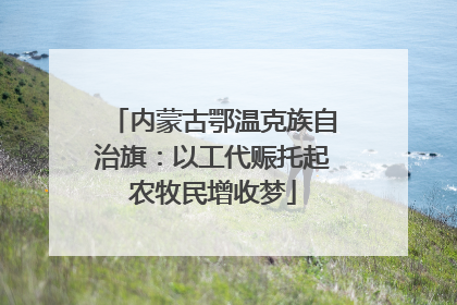 内蒙古鄂温克族自治旗：以工代赈托起农牧民增收梦