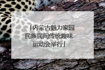 内蒙古魅力家园民族民间传统趣味运动会举行