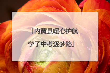 内黄县暖心护航学子中考逐梦路