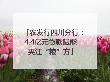 农发行四川分行：4.4亿元贷款赋能夹江“粮”方
